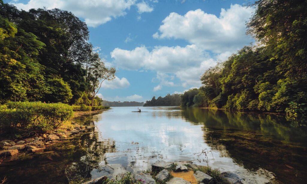 thomson-reserve-condo-new-launch-singapore-bishan-macritchie-reservoir